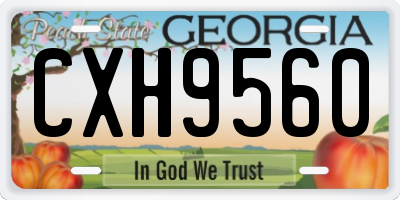 GA license plate CXH9560