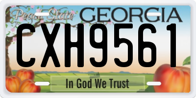 GA license plate CXH9561