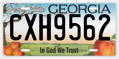 GA license plate CXH9562