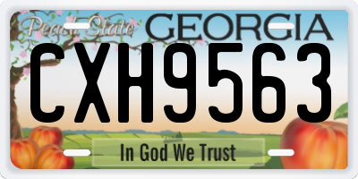 GA license plate CXH9563