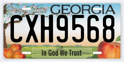 GA license plate CXH9568