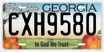 GA license plate CXH9580