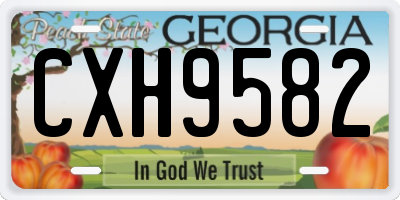 GA license plate CXH9582