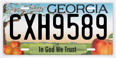 GA license plate CXH9589