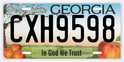 GA license plate CXH9598