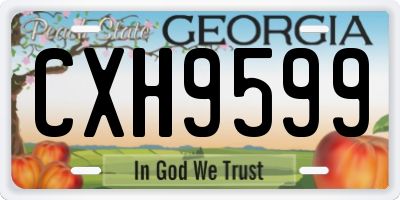 GA license plate CXH9599