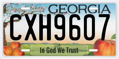 GA license plate CXH9607