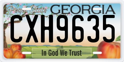 GA license plate CXH9635