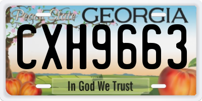 GA license plate CXH9663