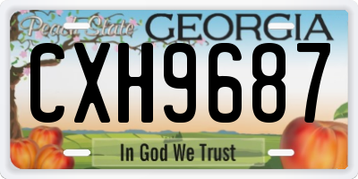 GA license plate CXH9687