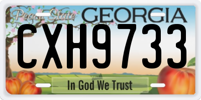 GA license plate CXH9733