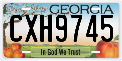 GA license plate CXH9745