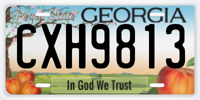 GA license plate CXH9813