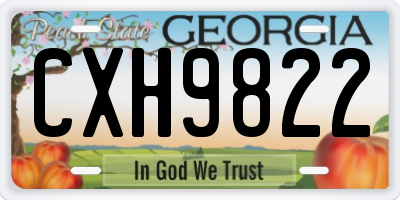 GA license plate CXH9822