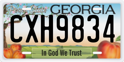 GA license plate CXH9834