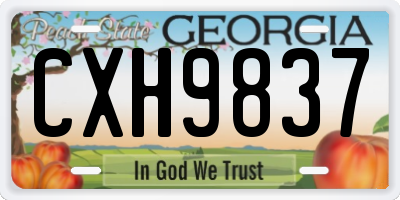 GA license plate CXH9837
