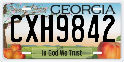 GA license plate CXH9842