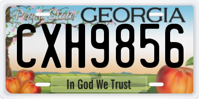 GA license plate CXH9856