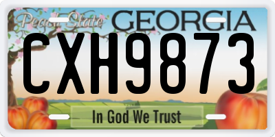 GA license plate CXH9873