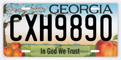 GA license plate CXH9890