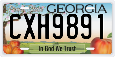 GA license plate CXH9891