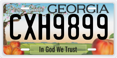 GA license plate CXH9899