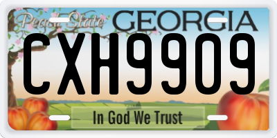 GA license plate CXH9909