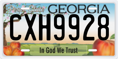 GA license plate CXH9928