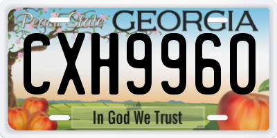 GA license plate CXH9960