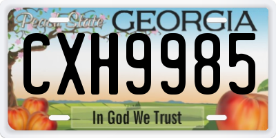 GA license plate CXH9985