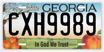 GA license plate CXH9989