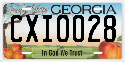 GA license plate CXI0028