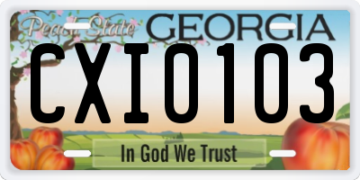 GA license plate CXI0103