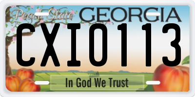 GA license plate CXI0113