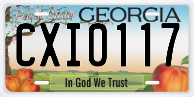 GA license plate CXI0117