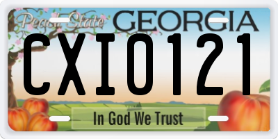 GA license plate CXI0121