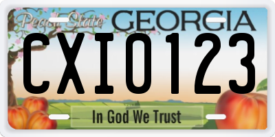 GA license plate CXI0123