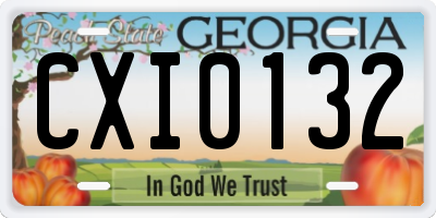 GA license plate CXI0132