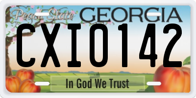 GA license plate CXI0142