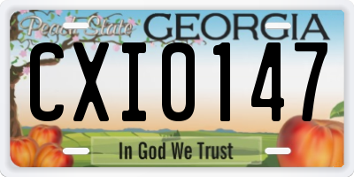 GA license plate CXI0147