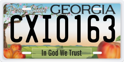 GA license plate CXI0163