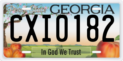 GA license plate CXI0182