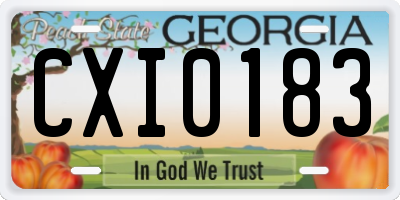GA license plate CXI0183