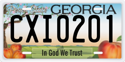 GA license plate CXI0201