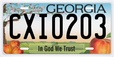 GA license plate CXI0203