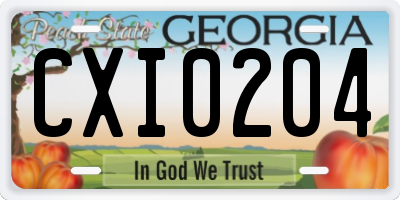 GA license plate CXI0204