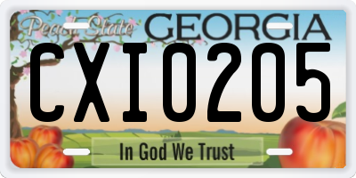 GA license plate CXI0205