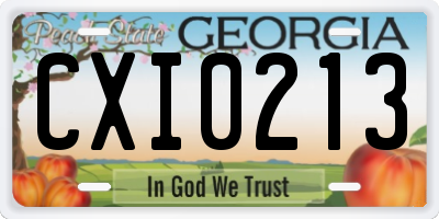 GA license plate CXI0213