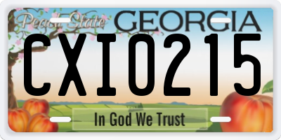 GA license plate CXI0215