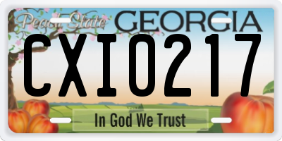 GA license plate CXI0217